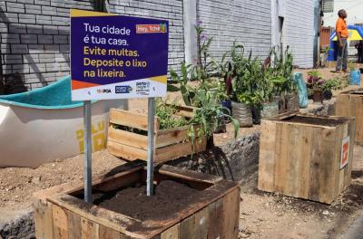 Plantio Urbano Sustentável 