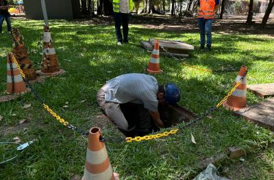 Iniciado serviço para restabelecer energia em parte do Parque Farroupilha