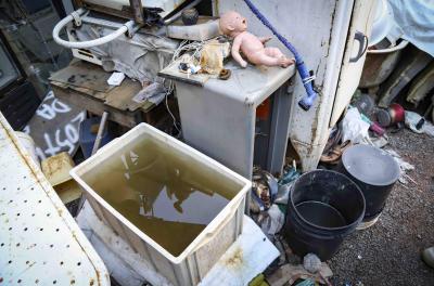 Período do Carnaval exige cuidados individuais e ambientais para prevenir a dengue