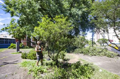 Prefeitura realiza poda preventiva para ampliar iluminação no Túnel da Conceição