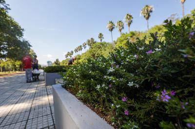 Espelho d’água do Parque Farroupilha recebe novo paisagismo