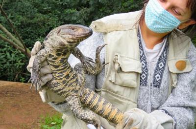 Lançamento de livro infantojuvenil sobre animais silvestres marca programação ambiental da Semana de Porto Alegre