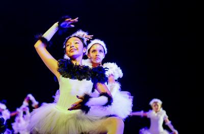 Mostra do Dia Internacional da Dança apresenta 60 coreografias em comemoração à data