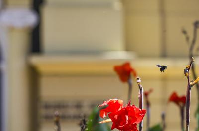 Semana terá tempo firme no início e retorno da chuva no feriado em Porto Alegre