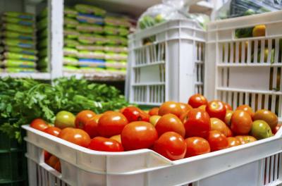 Prefeitura inicia entrega de alimentos da agricultura familiar para a Rede Municipal de Ensino