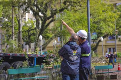 Confira o cronograma de manejo arbóreo desta semana na Capital 