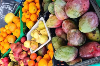 alimentos