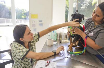 Unidade de Saúde Animal Victória reforça orientações para atendimentos no local