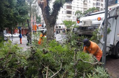 Equipes da prefeitura seguem mobilizadas para atender ocorrências provocadas por vendaval