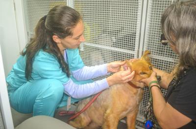 Unidade Móvel de Saúde Animal atende moradores do bairro Belém Velho nesta quinta-feira