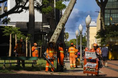 Confira o cronograma de setembro para o serviço de roçada em parques da Capital 
