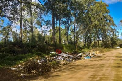 DMLU faz limpeza no bairro Belém Novo neste domingo