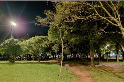 Restabelecida iluminação em trecho do Parque Moinhos de Vento após furto de fios