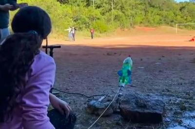 reprodução