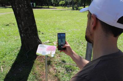 Porto Alegre usa inteligência artificial para dar voz a árvores em projeto de educação ambiental