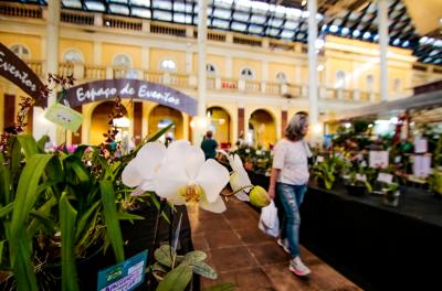 Exposição de Orquídeas reúne mais de 3 mil pessoas no Mercado Público