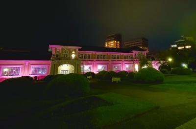 Campanha de prevenção ao câncer de mama ilumina o Jardim do Dmae de rosa