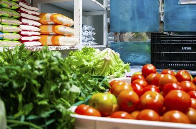 alimentos 