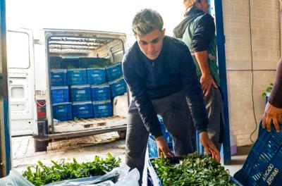 Programa Municipal de Aquisição de Alimentos 