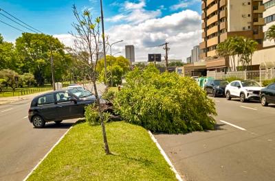 Porto Alegre registra 92 ocorrências de trânsito no fim de semana