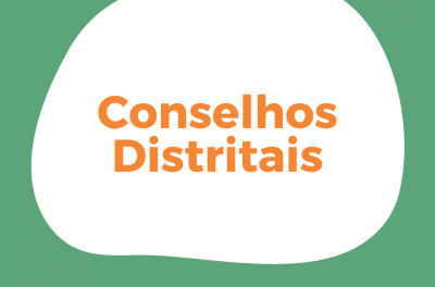 CMS - Conselho Distrital de Saúde