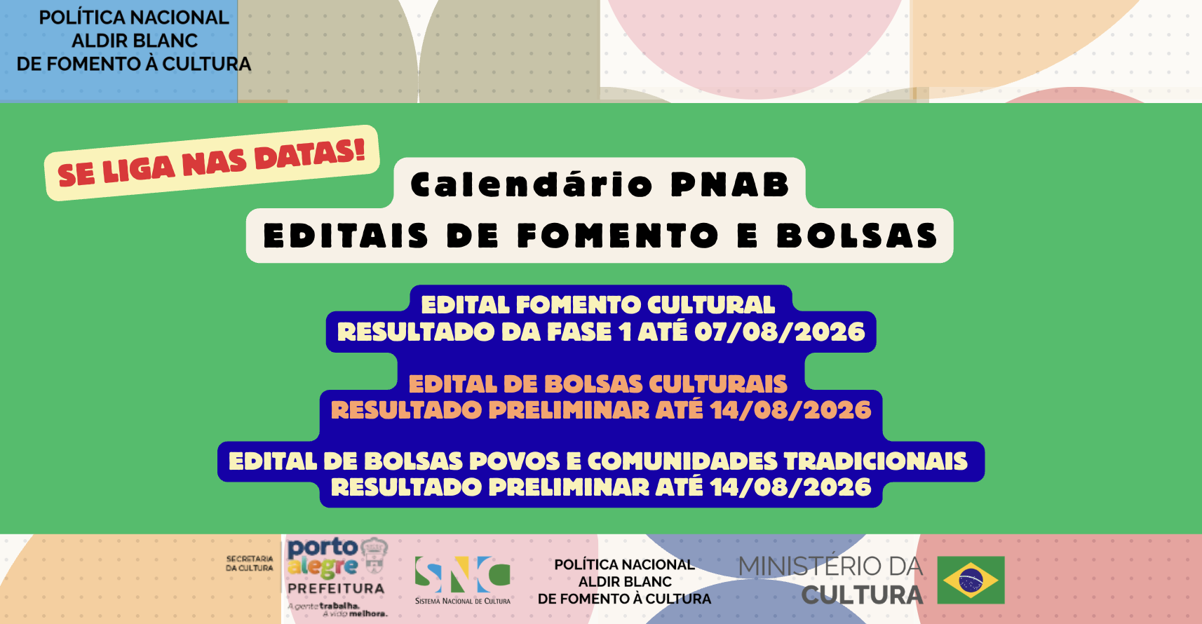 pnab ciclo2.png