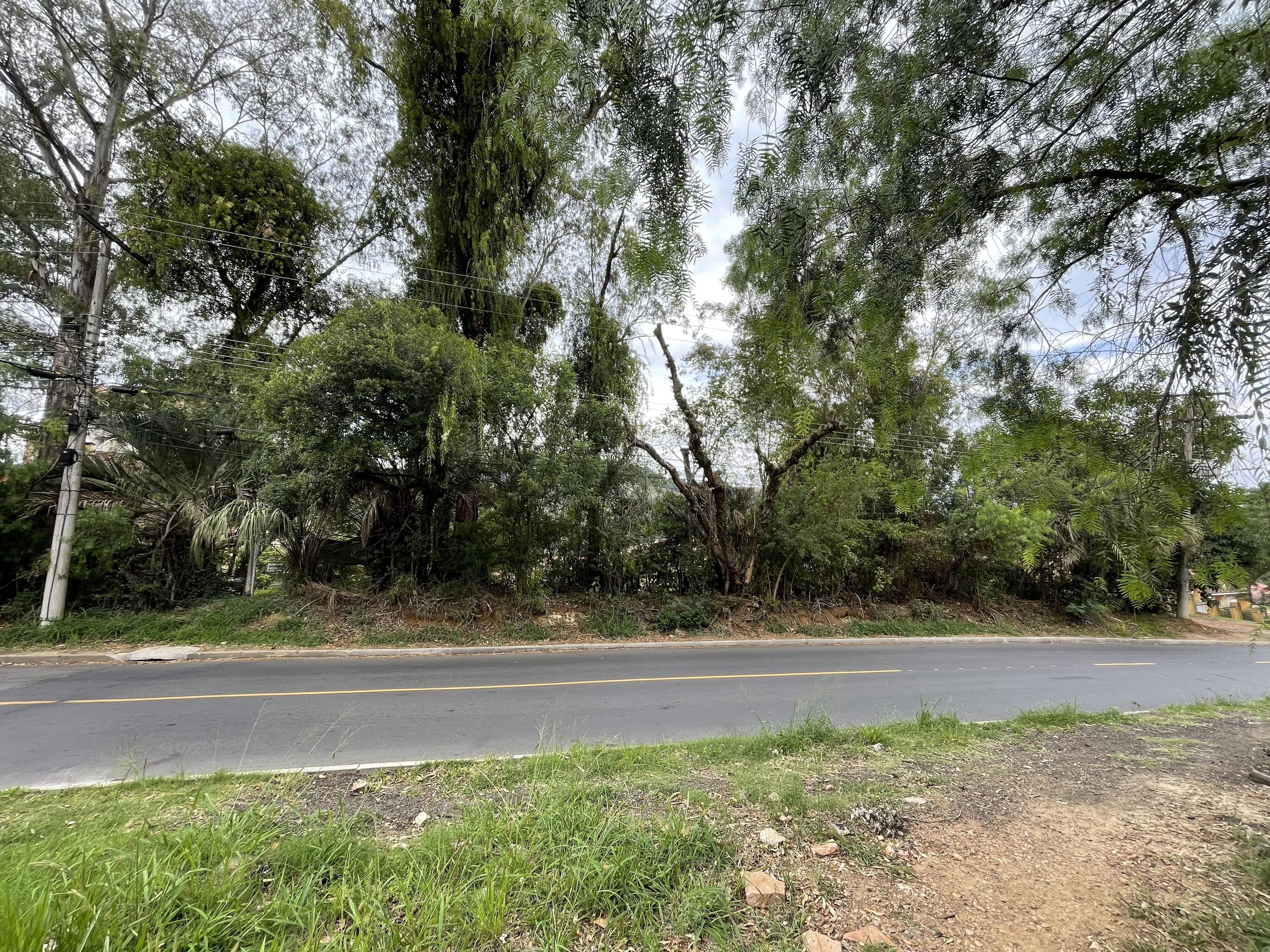 Vista frontal