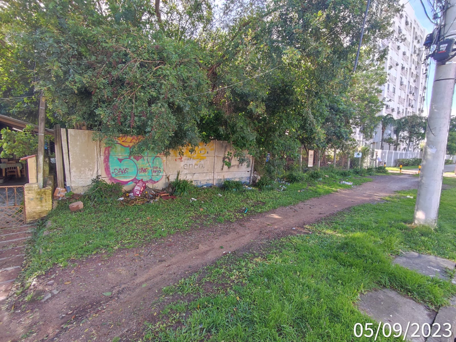 Vista frontal