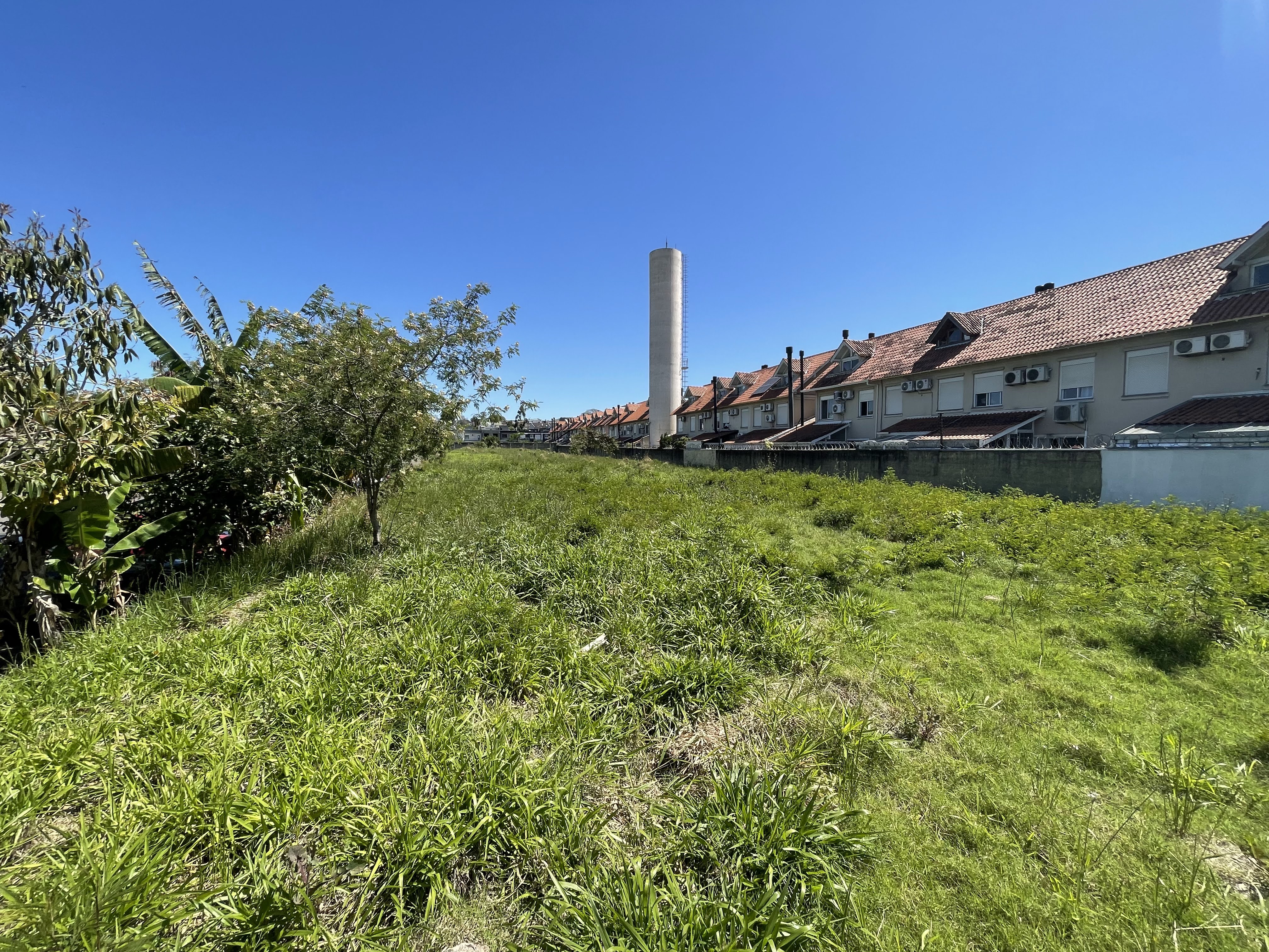 Vista frontal