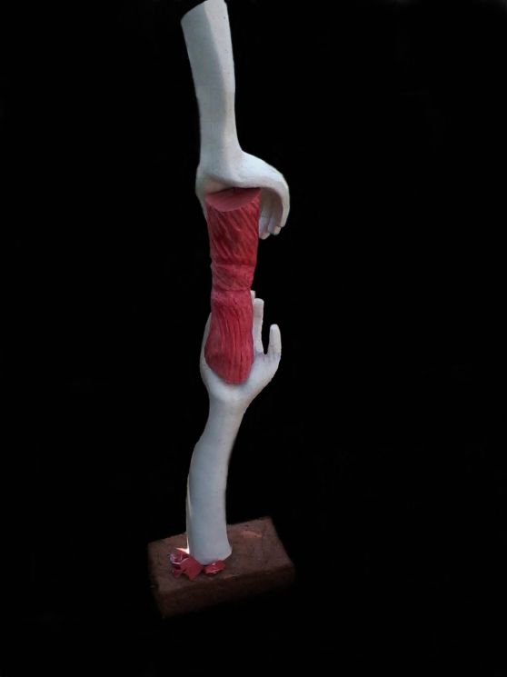 Obra de Lecy Fischer